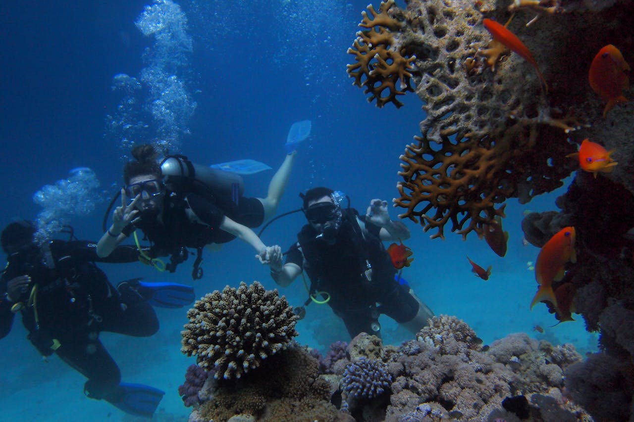 services-01 Group of scuba divers swimming near colorful coral reef with fish, showcasing underwater marine life.