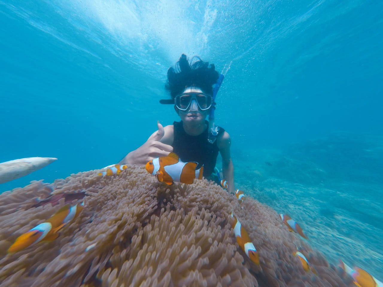 portfolio-02 Snorkeler giving a hand sign near clownfish and sea anemone in clear ocean waters.